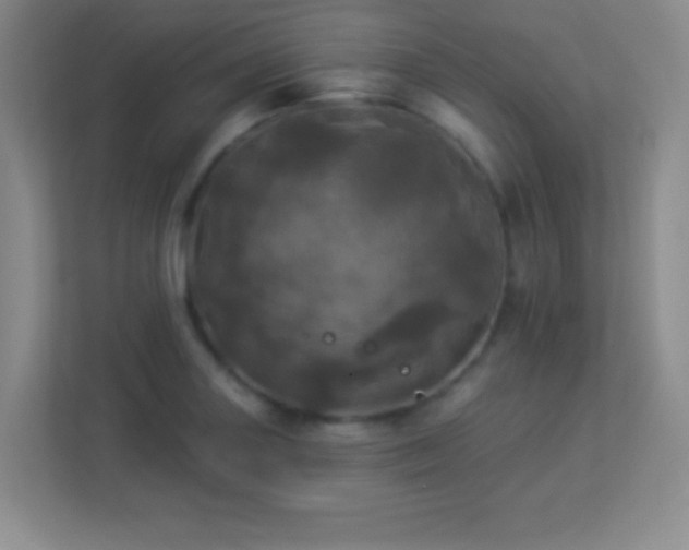 X0000113921227200909241523