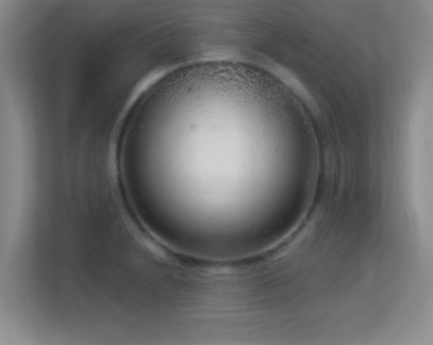 X0000113921230200909241523