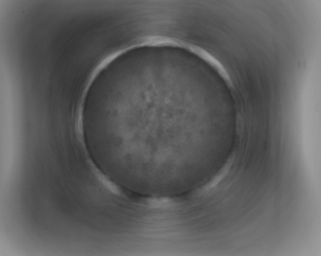 X0000113921231200909241523