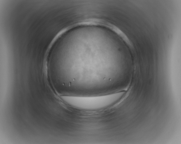 X0000113921232200909241523