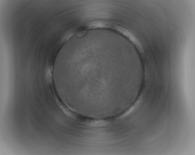 X0000113921233200909241523