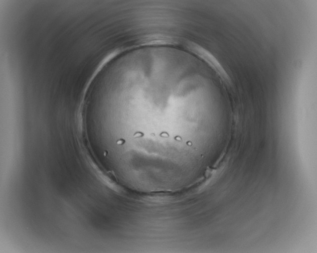 X0000113921236200909241523