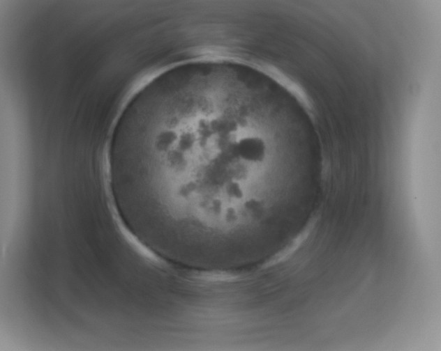 X0000113921239200909241523