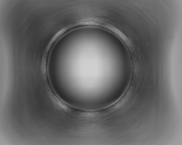 X0000113921240200909241523