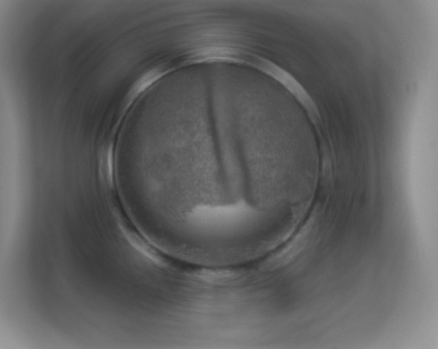 X0000113921242200909241523