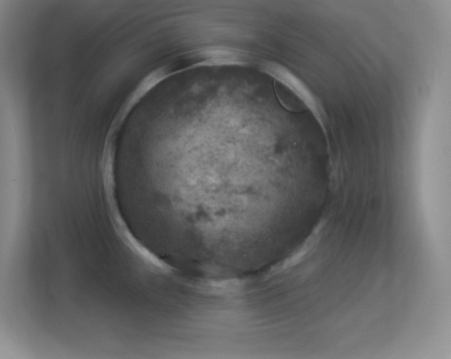 X0000113921243200909241523