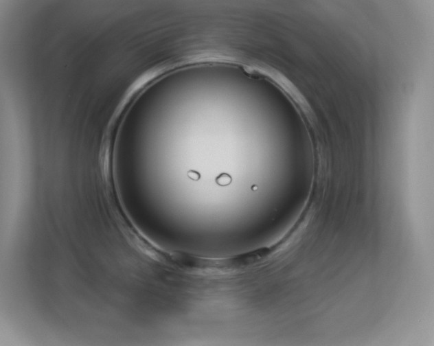 X0000113921246200909241523