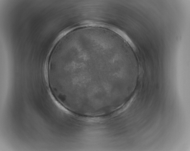 X0000113921247200909241523