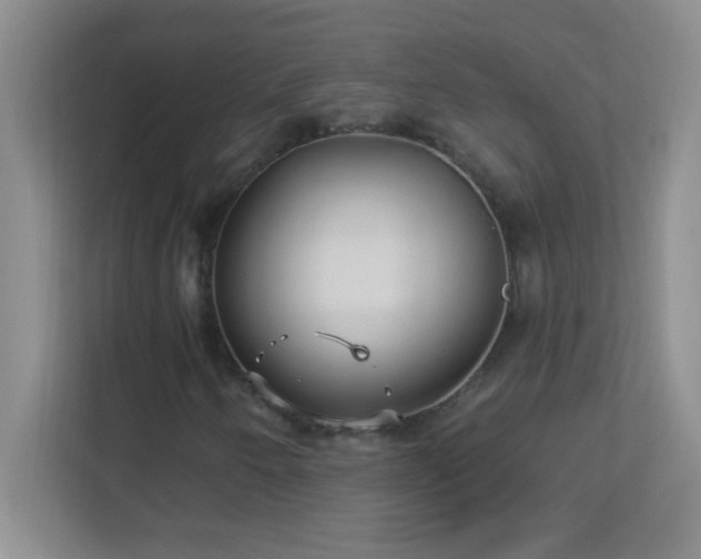 X0000113921250200909241523