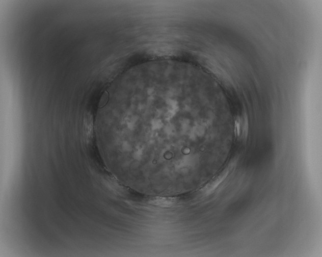 X0000113921251200909241523