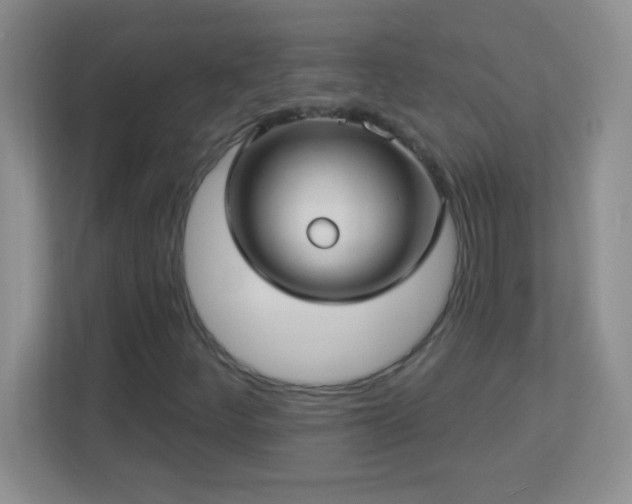 X0000113921252200909241523