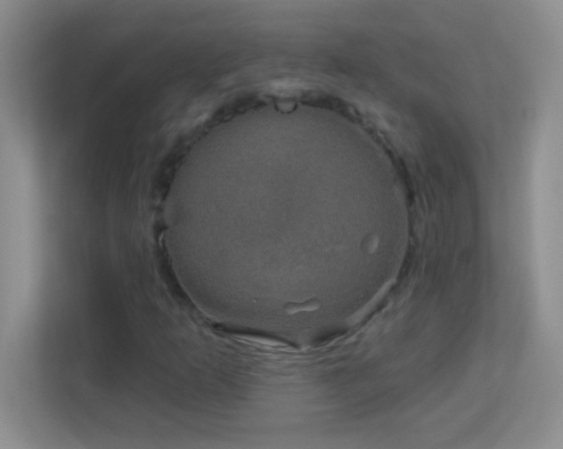 X0000113921253200909241523