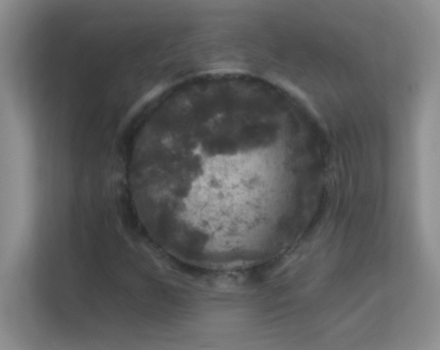 X0000113921255200909241523