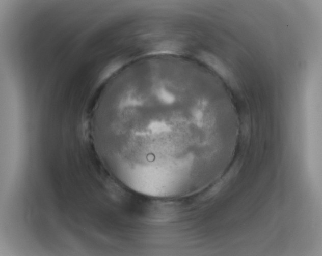 X0000113921258200909241523