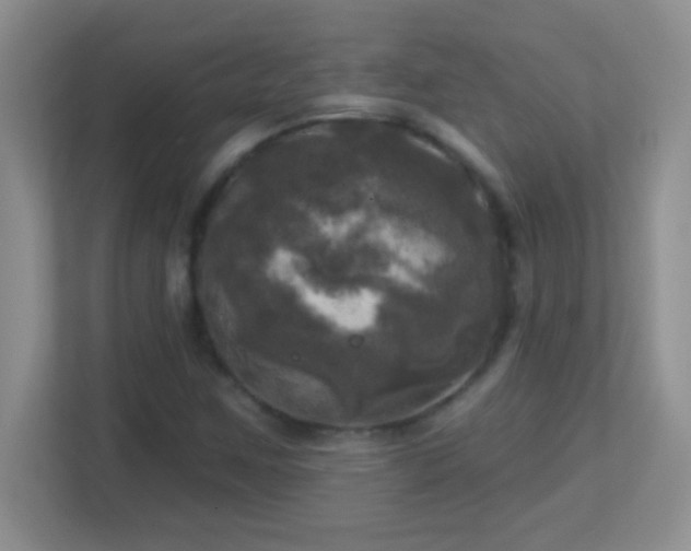 X0000113921259200909241523