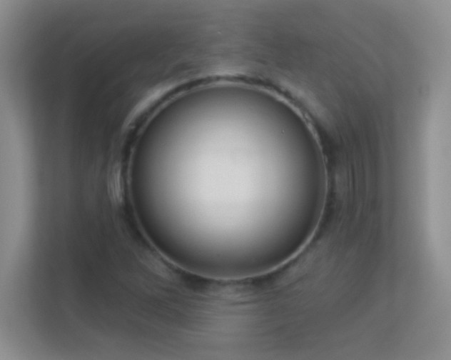 X0000113921262200909241522