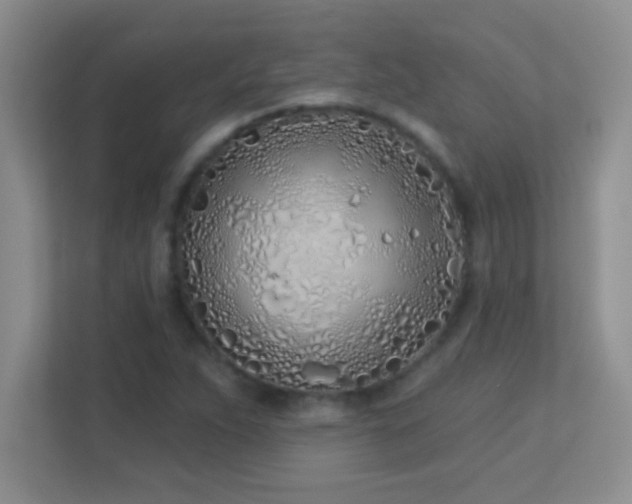 X0000113921263200909241522