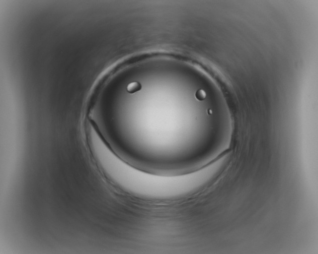 X0000113921264200909241522