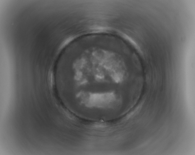 X0000113921267200909241522