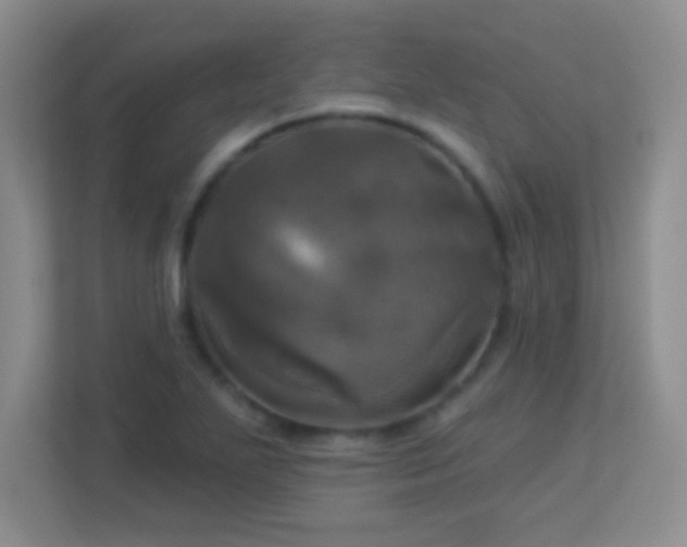 X0000113921271200909241522