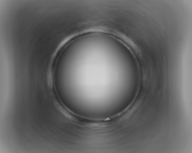 X0000113921272200909241522