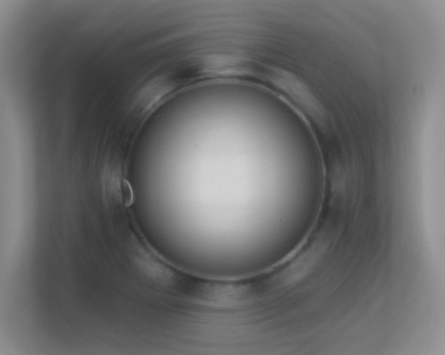 X0000113921273200909241522