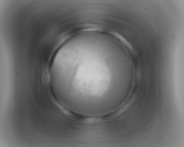 X0000113921274200909241522