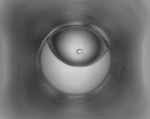 X0000113921276200909241522