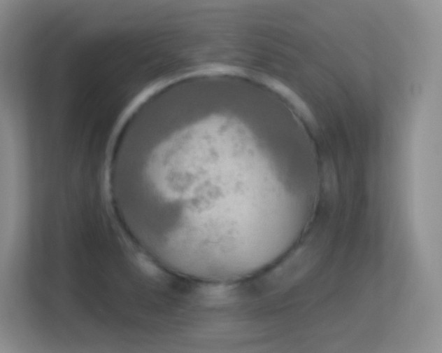 X0000113921278200909241522