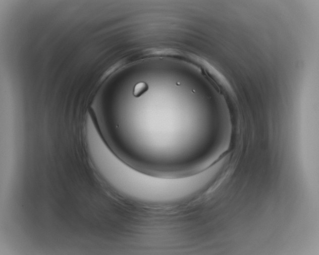 X0000113921281200909241522