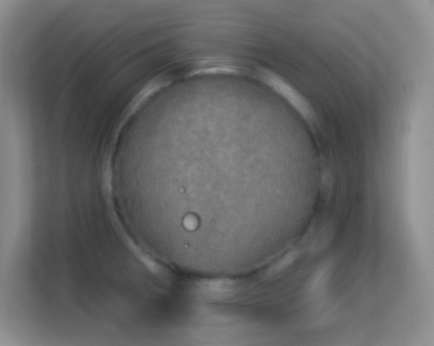 X0000113921282200909241522