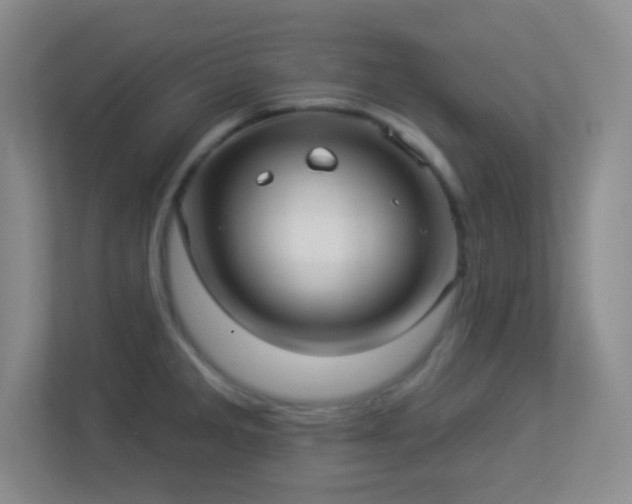 X0000113921285200909241522