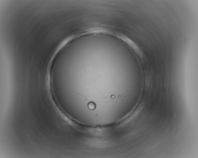 X0000113921286200909241522