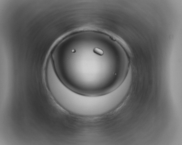 X0000113921288200909241522