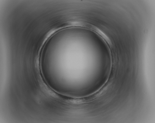 X0000113921291200909241522