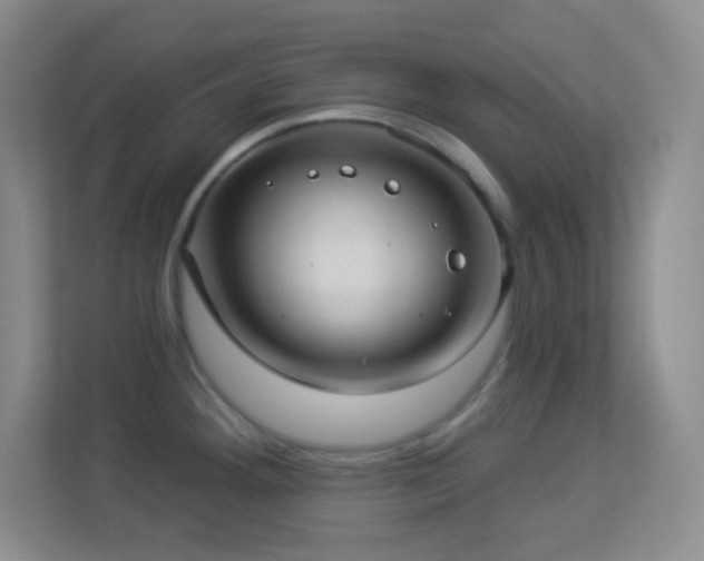 X0000113921292200909241522