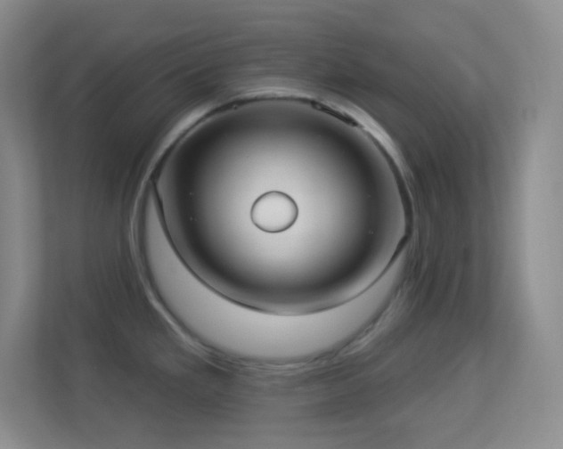 X0000113921293200909241522