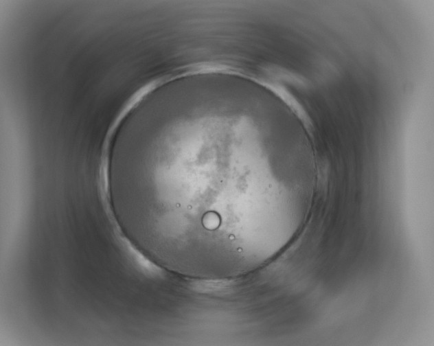 X0000113921294200909241522