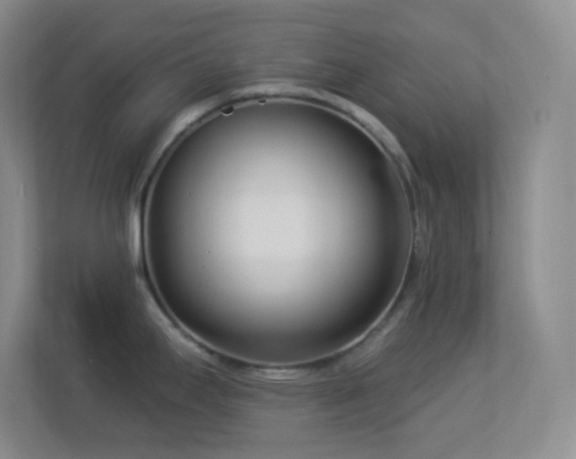 X0000113921295200909241522