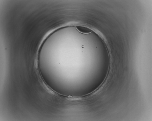 X0000113921296200909241522