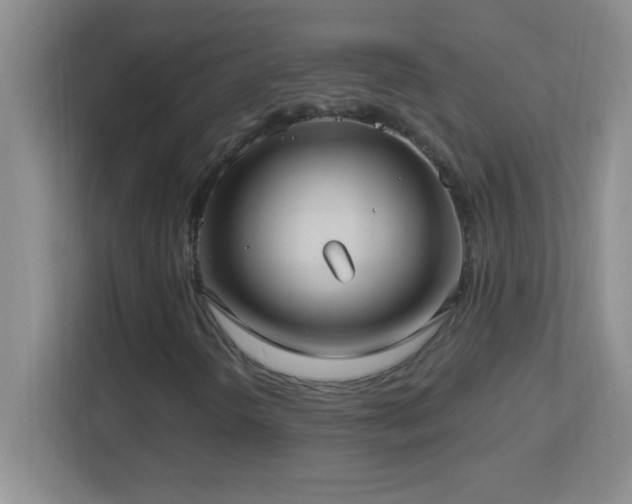 X0000113921298200909241521