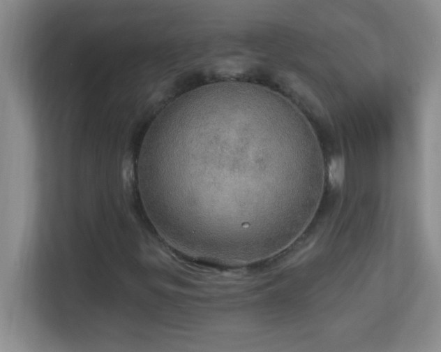 X0000113921299200909241521