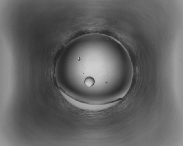 X0000113921300200909241521