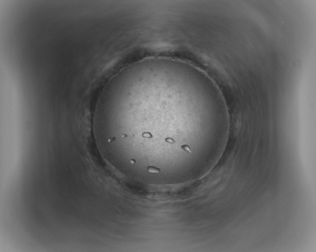 X0000113921301200909241521