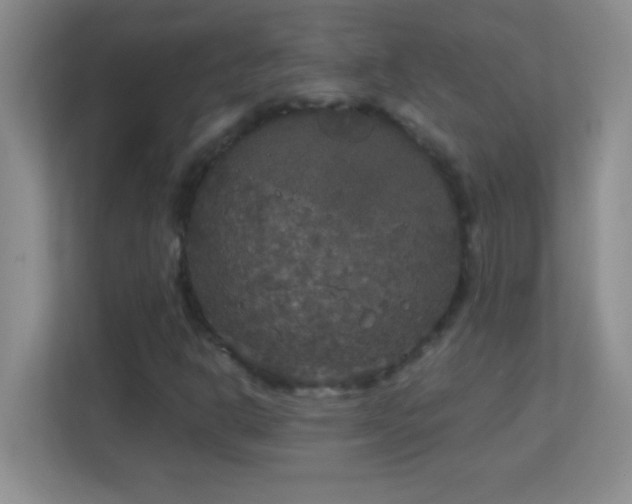 X0000113921302200909241521