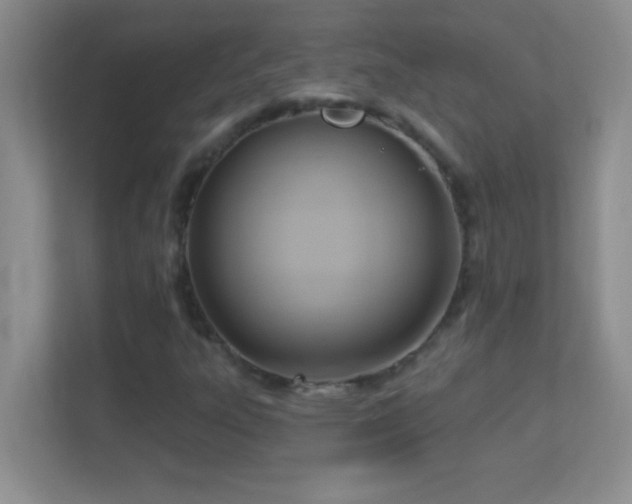 X0000113921303200909241521