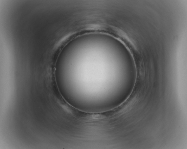 X0000113921304200909241521