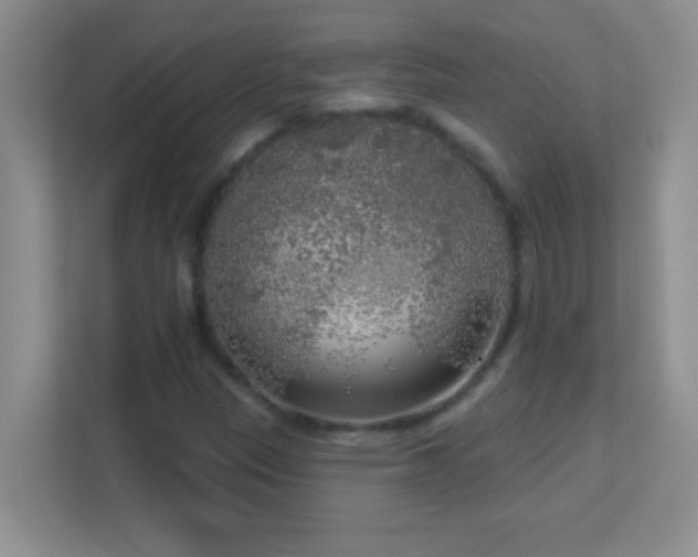 X0000113921305200909241521