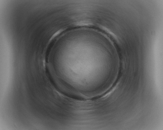 X0000113921306200909241521