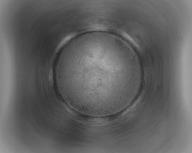 X0000113921307200909241521